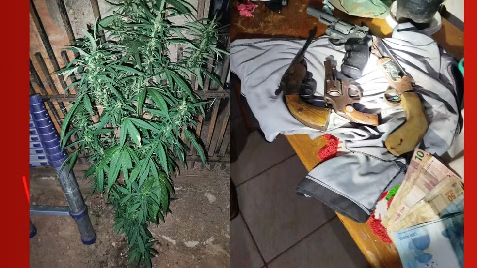 COMBATE NA ZONA DA MATA - Confronto com a Polícia Militar Termina com Morte de Líder do Comando Vermelho em Rondônia 

